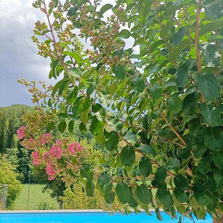 פייטרלונגה B&B Villa Ginevra מראה חיצוני תמונה