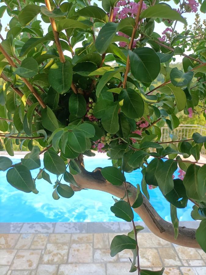 פייטרלונגה B&B Villa Ginevra מראה חיצוני תמונה