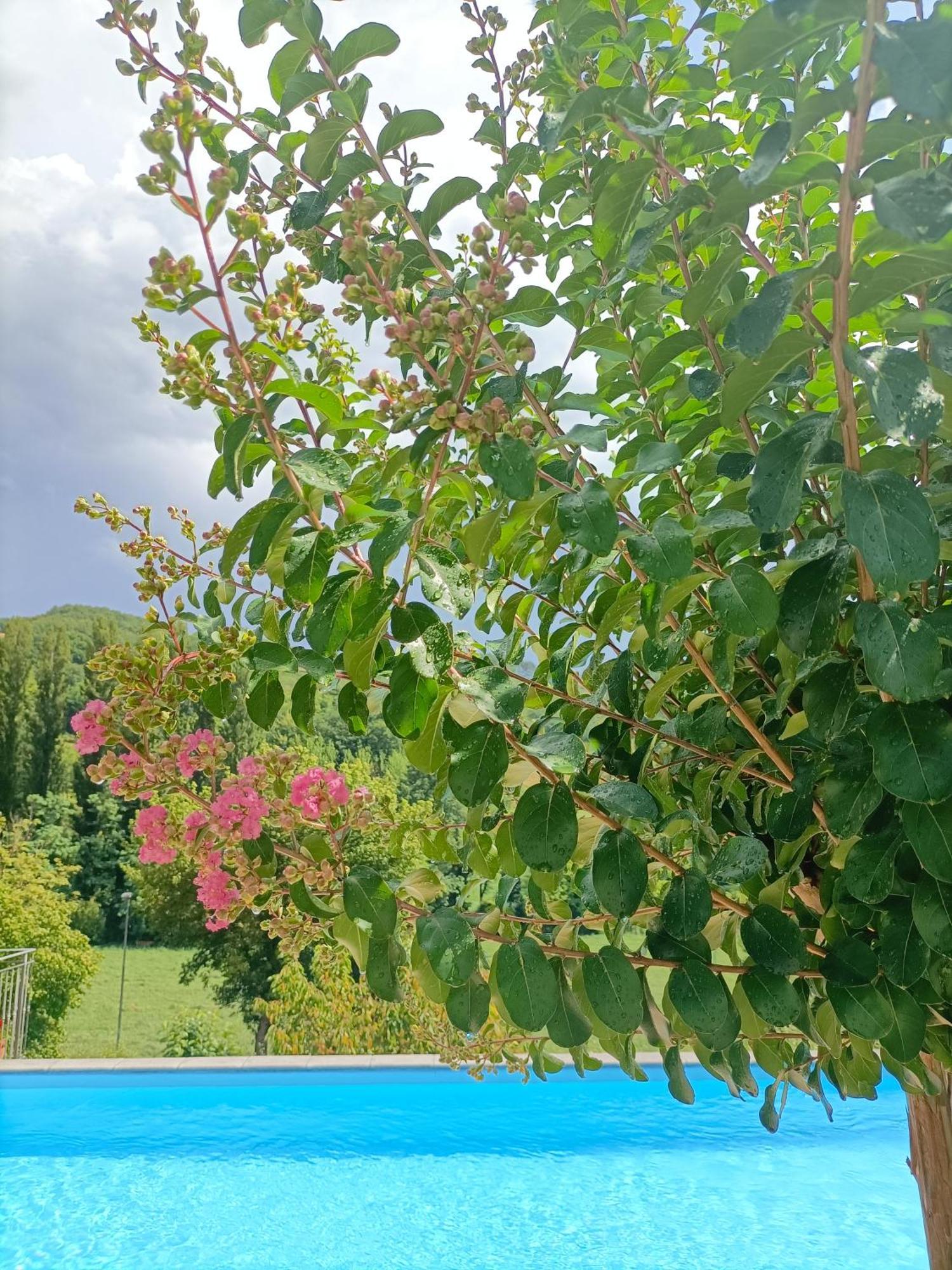 פייטרלונגה B&B Villa Ginevra מראה חיצוני תמונה